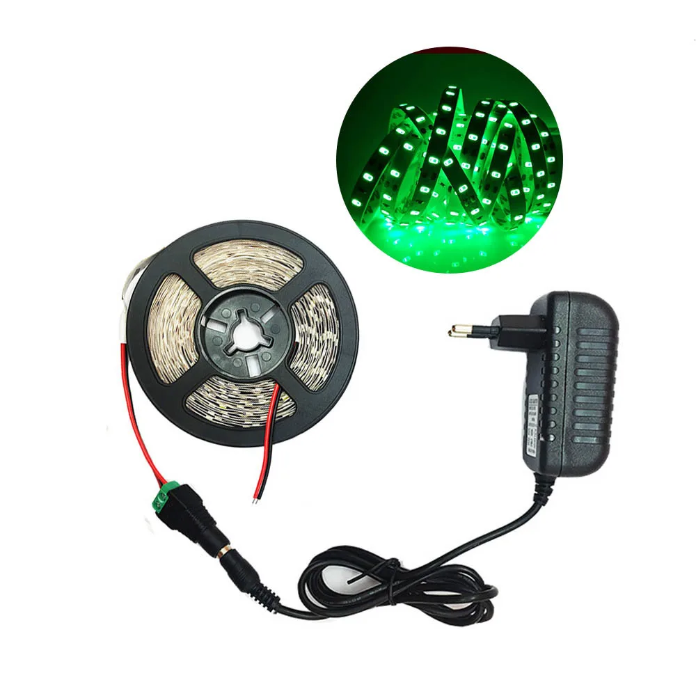 RGB Светодиодная лента 5 м 300 светодиодный s светодиодная лента световой полосы 12 В 2A Fiexble свет рождественский Настольный Декор лампа для ТВ фоновое освещение - Испускаемый цвет: Зеленый