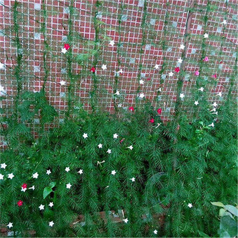 

Garden Green Nylon Trellis Netting Support Climbing Bean Plant Nets Grow Fence