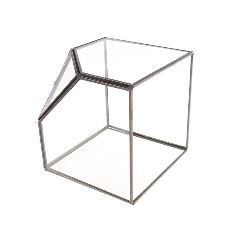 

Modern Glass Terrarium Storage Box Clear Glass Geometric Terrarium Succulent Plant Display Box, Decorative Votive Candle 85LB