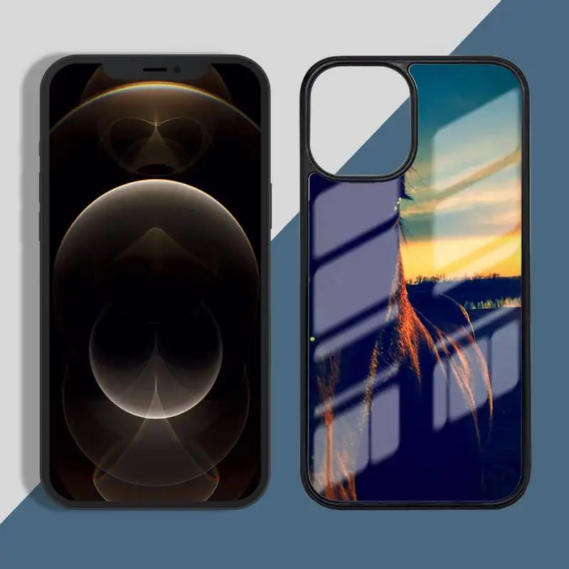 

Frederik The Great beauty horse Phone Case PC for iPhone 11 12 pro XS MAX 8 7 6 6S Plus X 5S SE 2020 XR