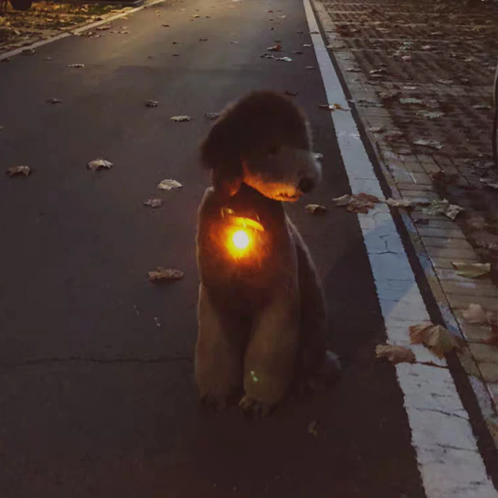

1pc Dog Collar Flash LED Pendant Night Light Glowing Safety Pet Lead Puppy Necklace Luminous Bright Decoration For Cat Doggie