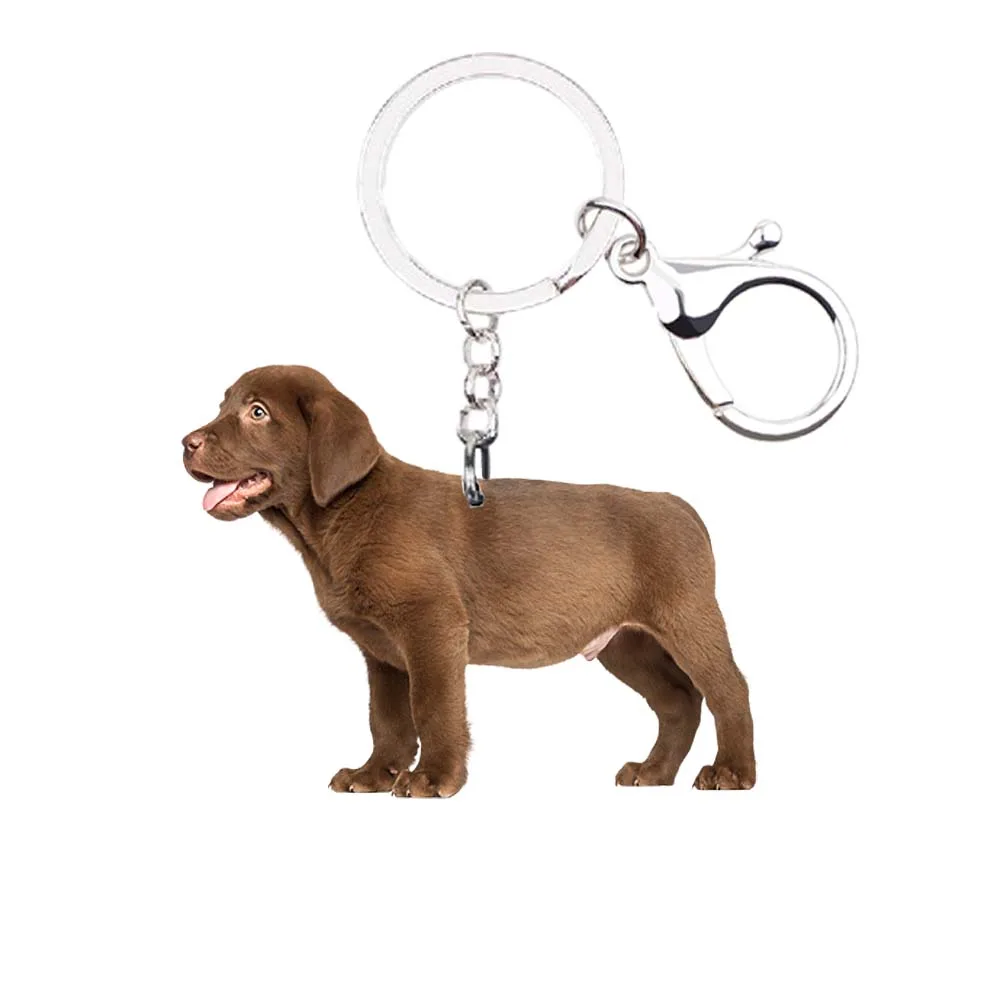 

Labrador Retriever Dog Keychain Animal NOT 3D Llaveros Kawaii for Him Her Xmas Gift Car Key Accessories Cute Charms Trendy Ring