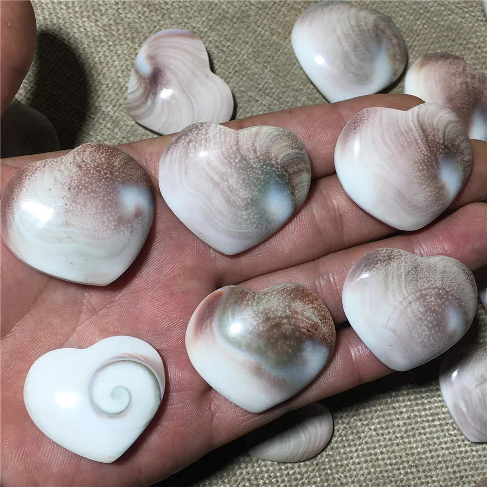 

Pendant Natural Shell Fossil Original Polished Healing Energy Stone Increase Charm Unisex Jewelry DIY Gift Heart
