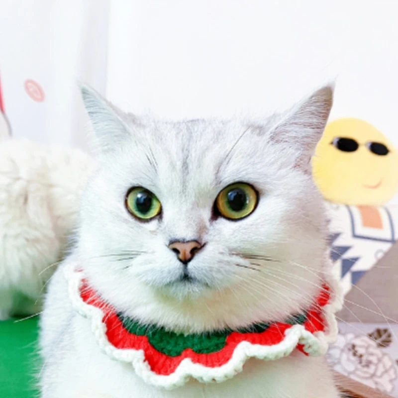 1 шт. шерстяной ошейник для кошек и собак | Дом сад