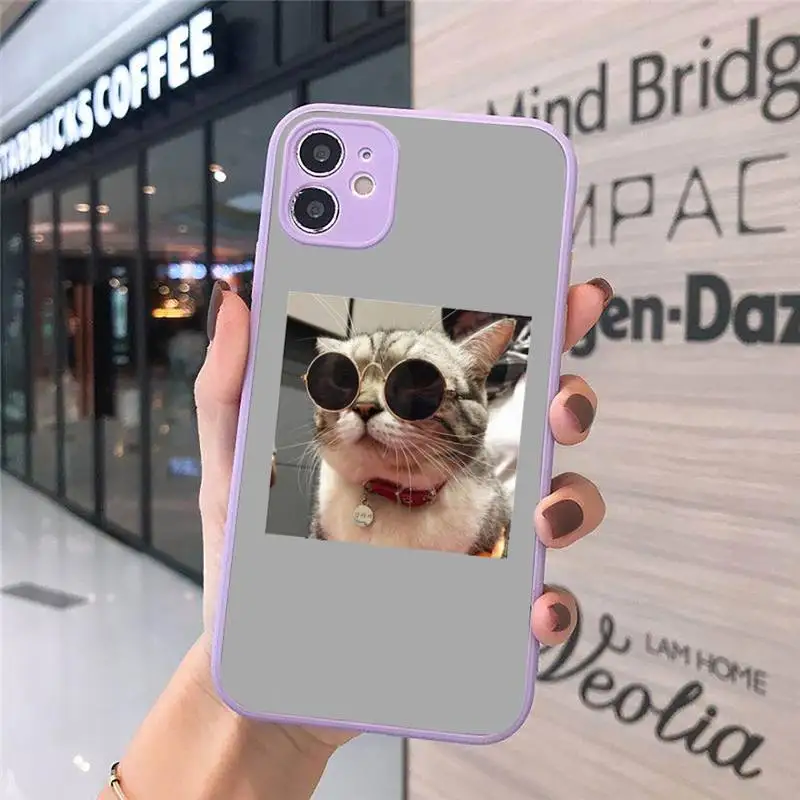 

Phone Case For iPhone 12 11 Mini Pro XR XS Max 7 8 Plus X Cute cat puppy pet Matte transparent Purple Cover