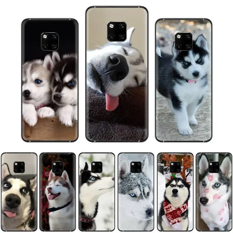 Милый мягкий силиконовый чехол для телефона из ТПУ с изображением собаки хаски