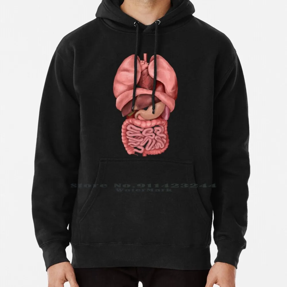 

Internal Organs Hoodie Sweater 6xl Cotton Heart Lungs Organs Gruesome Guts Watercolours Human Intestine Human Anatomy Digestive