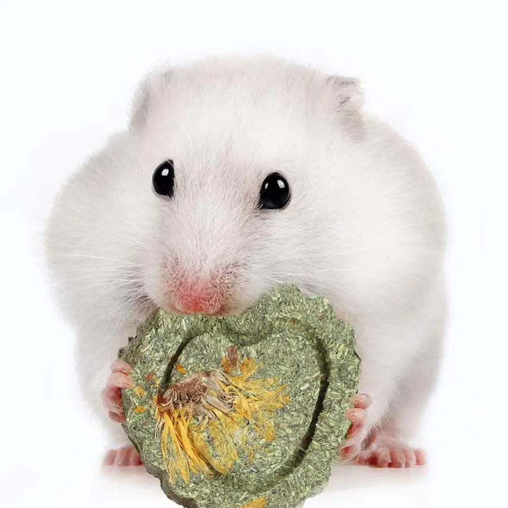 Хомяк жевательный в форме сердца Травяной торт с цветами для чистки зубов