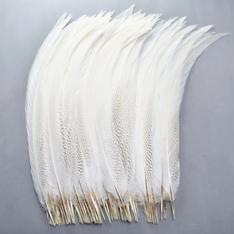 

Natural White Pheasant Tail Feathers for Crafts 20-80cm Large Long Silver Chicken Feather Plumas Carnaval Plume Decoration Decor