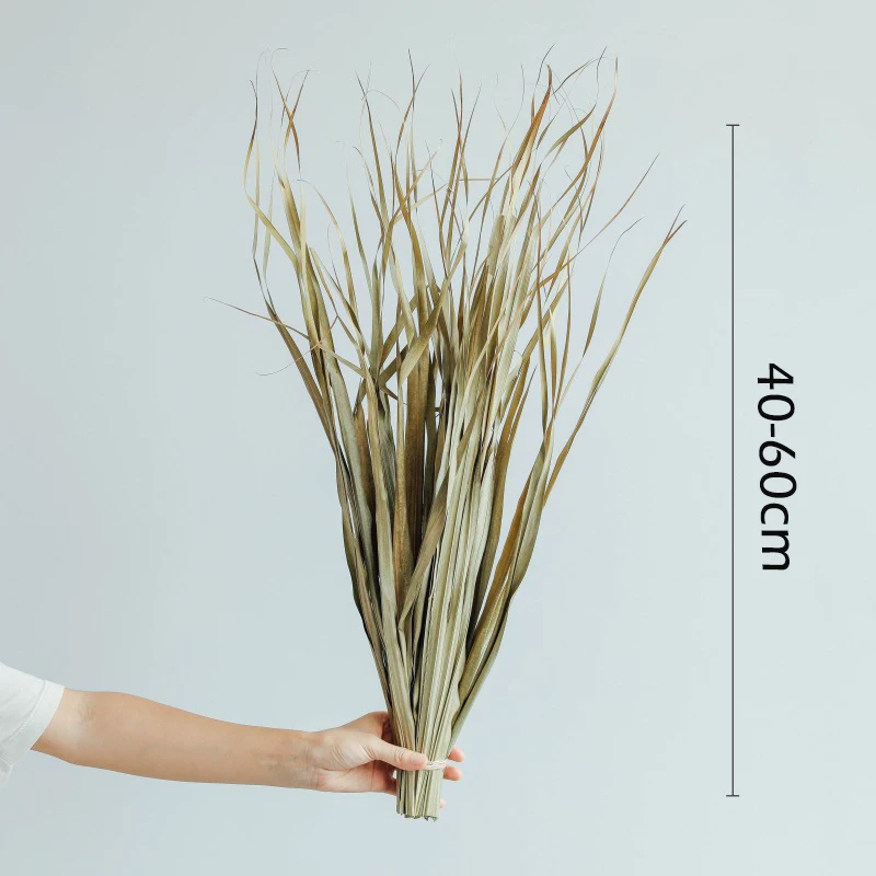

80g Palm Fan Leaves Natural Dried Leaf Plant, Photography Props Cottagecore Centerpieces Dining Room Gazebos Wedding Decoration