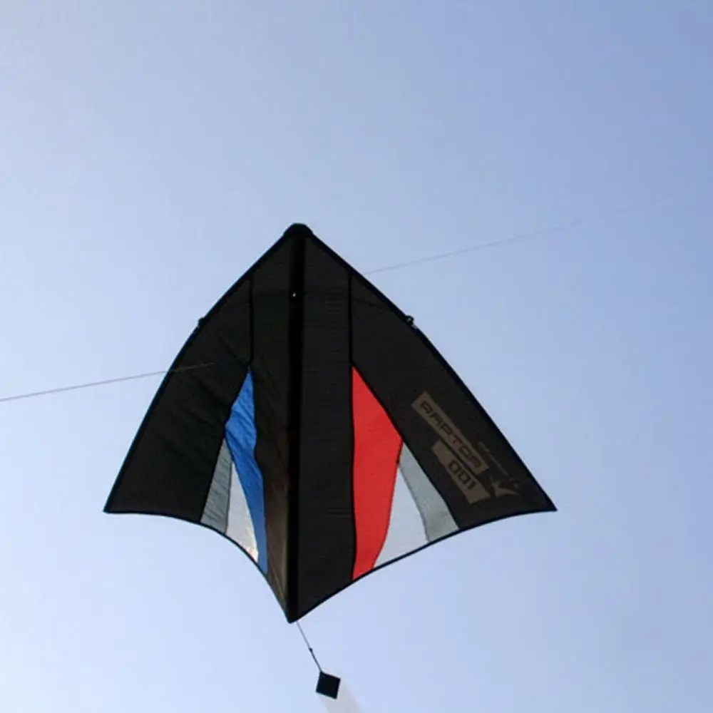 104CM Delta Single Line Kites for Adults Outdoor Kitesurfing Professional Flying Sport Fun with 5M Tail & Bag | Игрушки и хобби