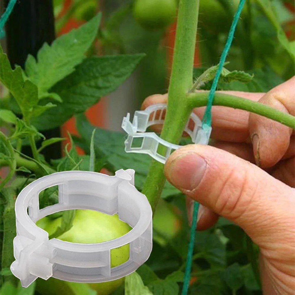 

100pcs Plastic Plant Supports Clips For Tomato Hanging Trellis Vine Connects Plants Greenhouse Vegetables Garden Ornament