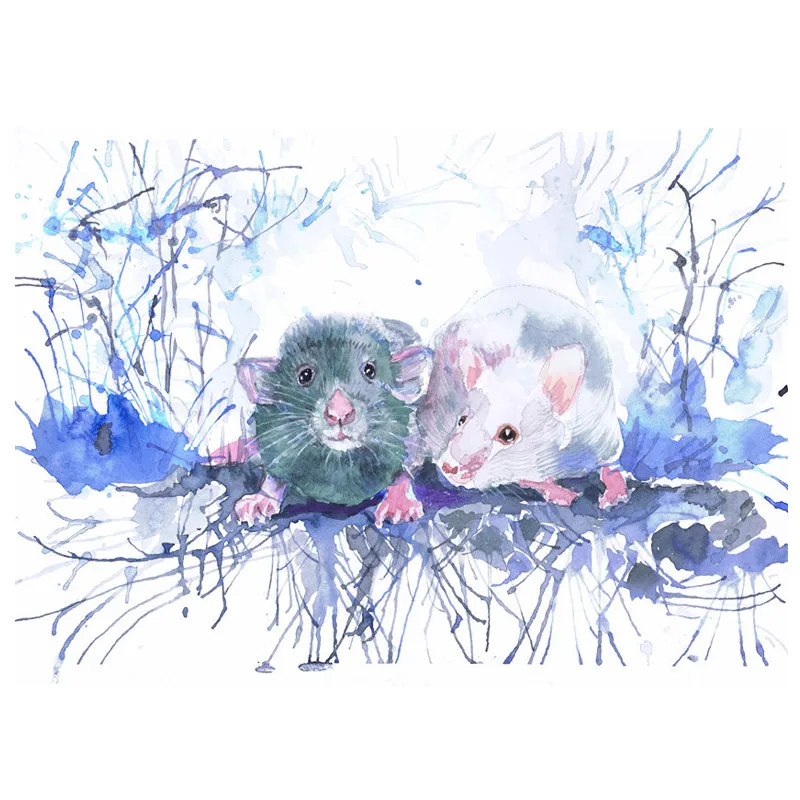 5D алмазная живопись полноразмерная/круглая мышь животное крыса грызуны цвета