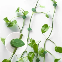 10pcs Plant Climbing Wall Fixture Invisible Leaf Shape Rattan Vine Clip Fastener Traction Holder Flower Hanger Glued Hook