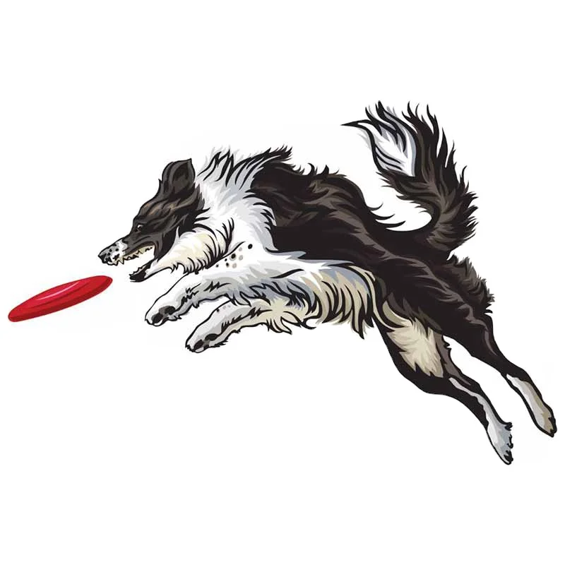 

Автомобильные наклейки для Border Collie, фотообои, Водонепроницаемый виниловый материал, индивидуальный JDM SUV RV 13 см