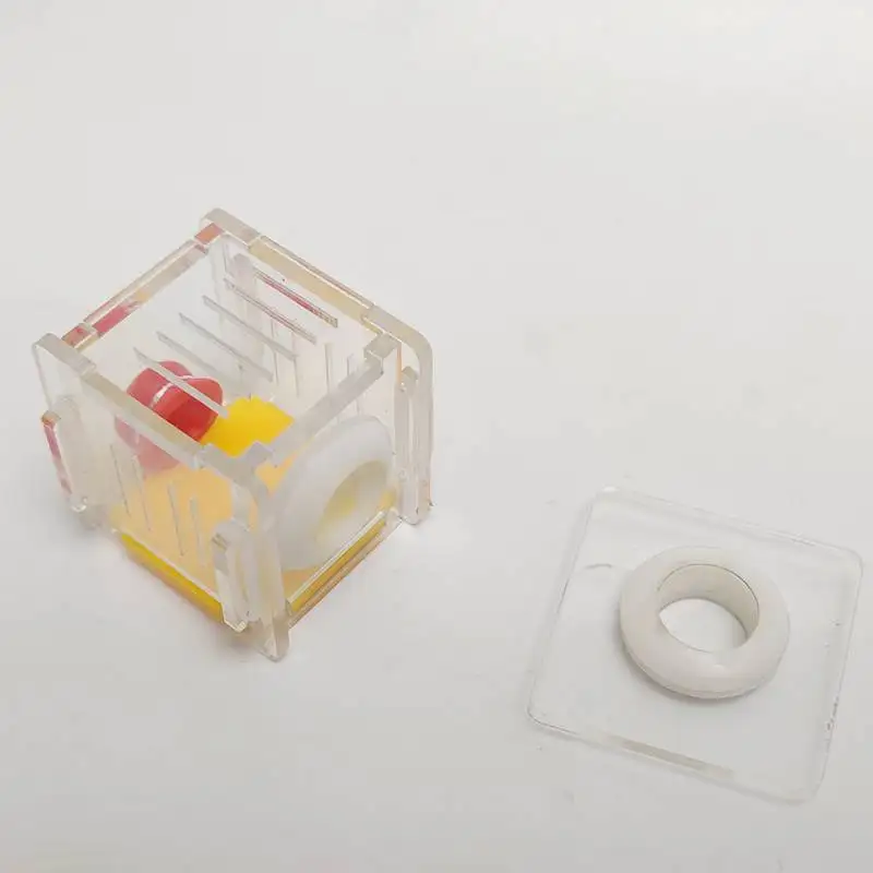 Муравьи гнездо фермы с областью и бамбуковой соединительной трубкой|Товары для