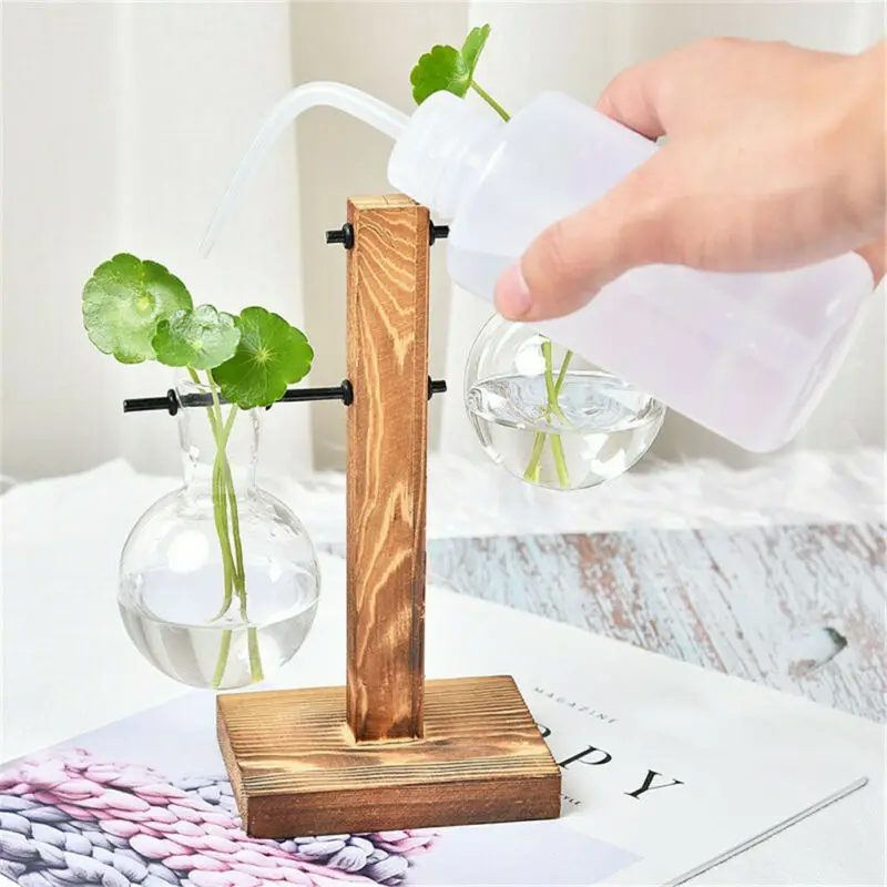 Вазы для гидропонных растений винтажный цветочный горшок прозрачная ваза