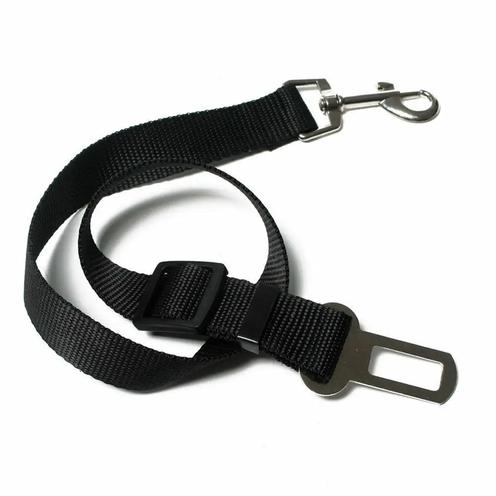 Поводок для домашнего питомца 10|Поводки| |