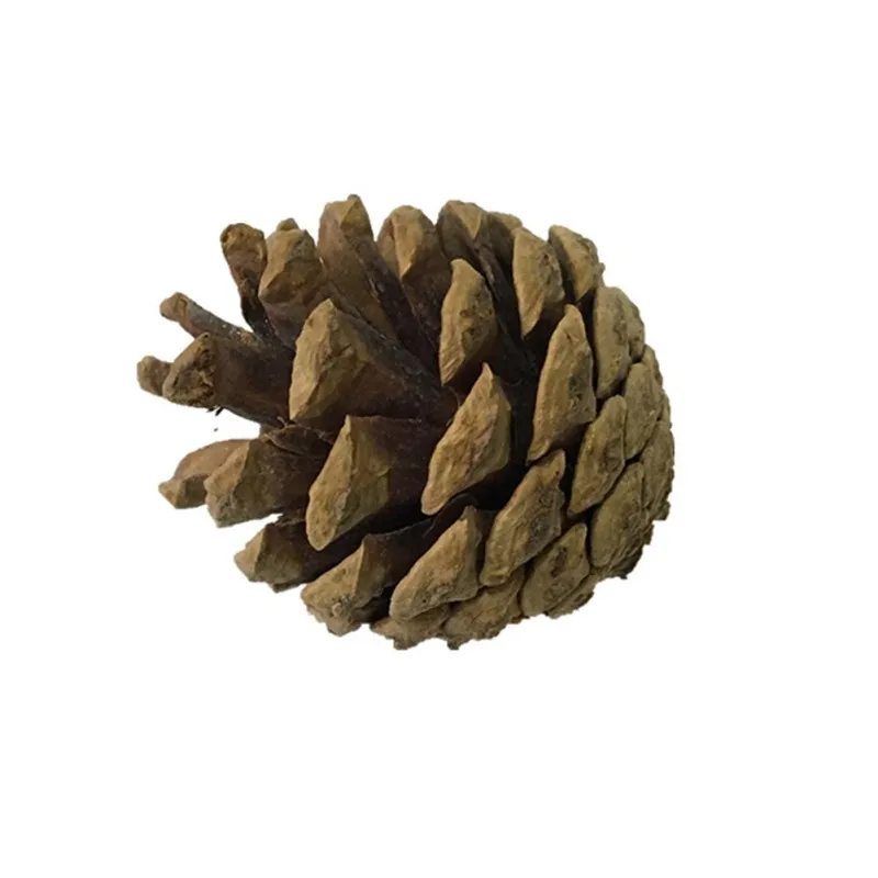 5 шт./лот птичий попугай набор игрушек деревянные игрушки подвесное туннельное