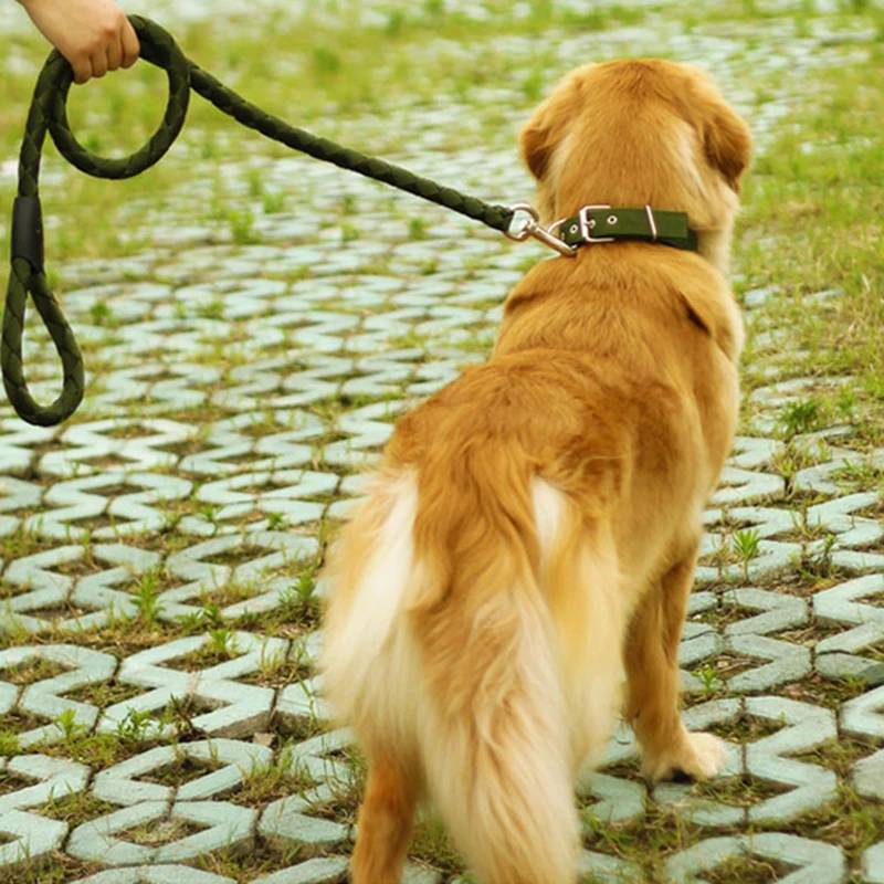 3 шт поводок для собак рулетка питомца Воздухопроницаемый жгут не тянуть ошейник