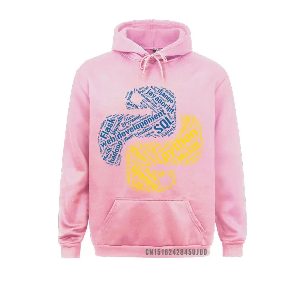 Худи графические Мужские Винтажные свитшот с принтом питона программирующее