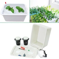 220v plant site hydroponic system 2 holes indoor garden cabinet box grow kit bubble garden pots planters nursery pots