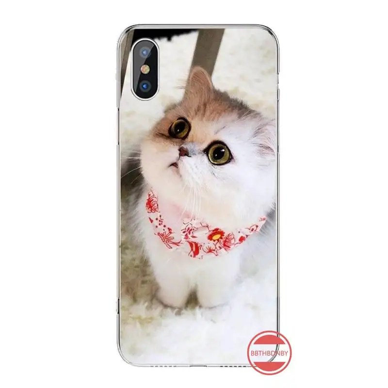

Cat Cartoon lovely pets Animal Phone Case For iphone 12 5 5s 5c se 6 6s 7 8 plus x xs xr 11 pro max mini high quality coque
