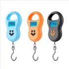 Портативные весы с подсветкой, цифровой электронный прибор для измерения массы рыбы, максимальный вес 50 кг, вес 10 г