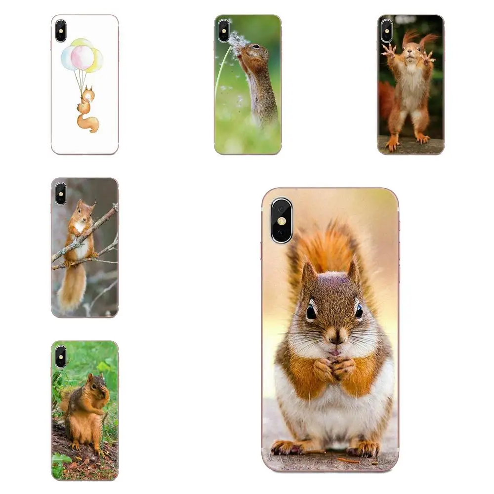 Чехлы для мобильных телефонов из ТПУ с изображением милой белки Xiaomi Mi3 Mi4 Mi4C Mi4i Mi5 Mi