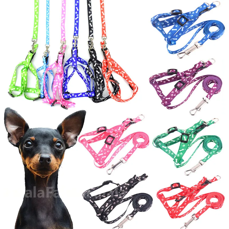 

Small Dog Cat Harness Leash Adjustable Vest Collar Puppy Outdoor Walking Chihuahua Terier Schnauzer