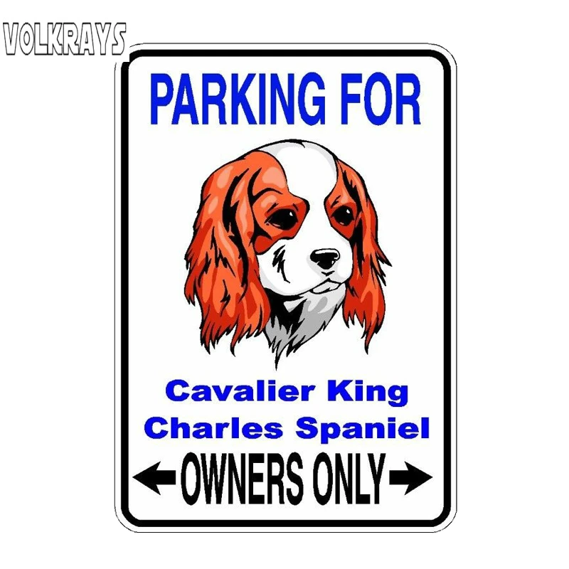Модная Автомобильная наклейка Volkrays кавалер Кинг чарльз спаниель аксессуары для