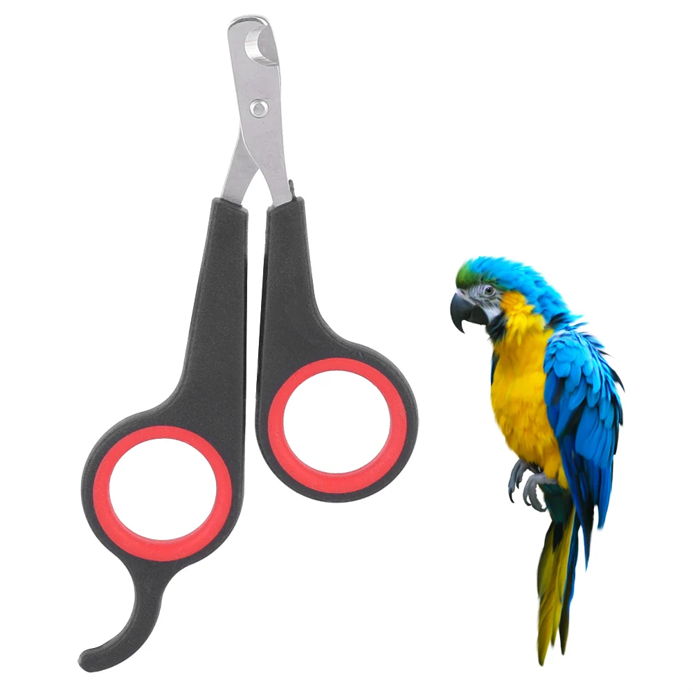 

2 Pcs Pet Cat Nail Scissor Bird Nail Clipper Claw Rabbit Grooming Tool Trimmer Dog Small Animals Accessory for Hamsters Rabbit