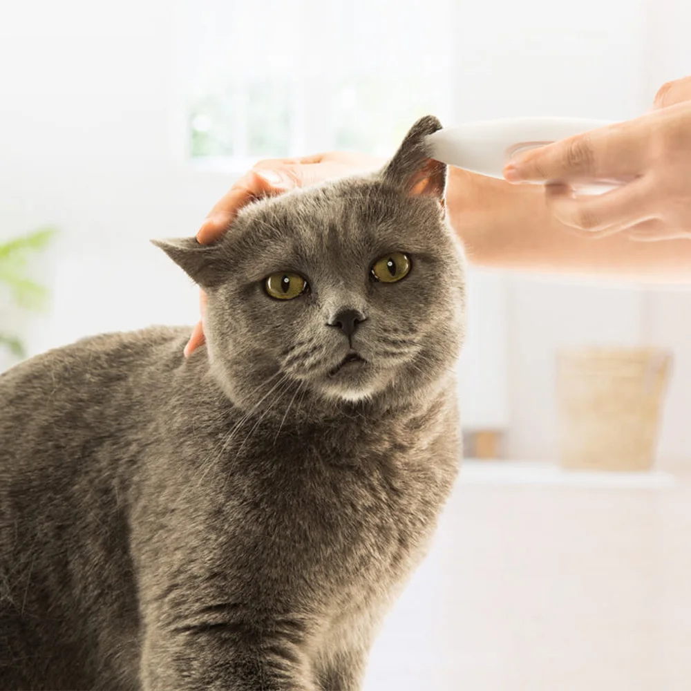 

Pets Local Hair Trimmer for Dog Cat Shaver Pet Grooming Tool Electrical Shearing Cutter Dog Haircut Paw Shaver Clipper