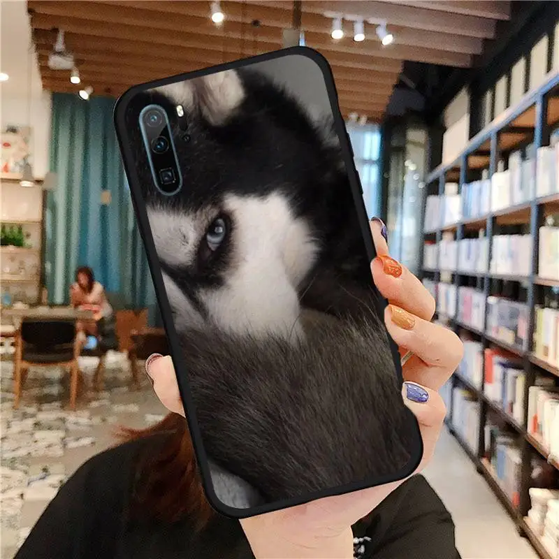 

Cute Husky dog CUTE PET ANIMAL Phone Case For Huawei honor Mate P 9 10 20 30 40 Pro 10i 7 8 a x Lite nova 5t Shell Cover Funda