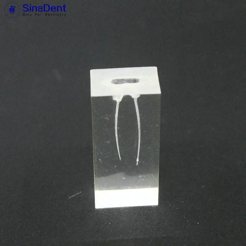 1 шт. Стоматологическая модель тренировочный блок для эндонтических корневых