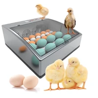 egg incubator brooder new mini automatic digital poultry incubator 16 eggs egg incubator used to hatch hat