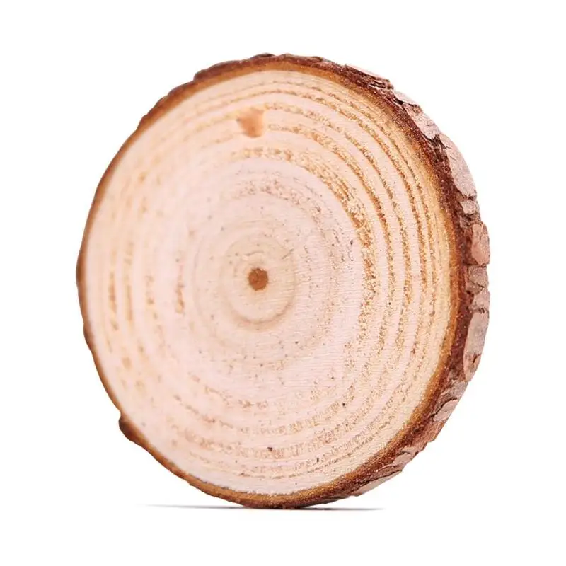 10 шт./компл. &quotсделай сам&quot выращиваемого на древесном бревне ломтики