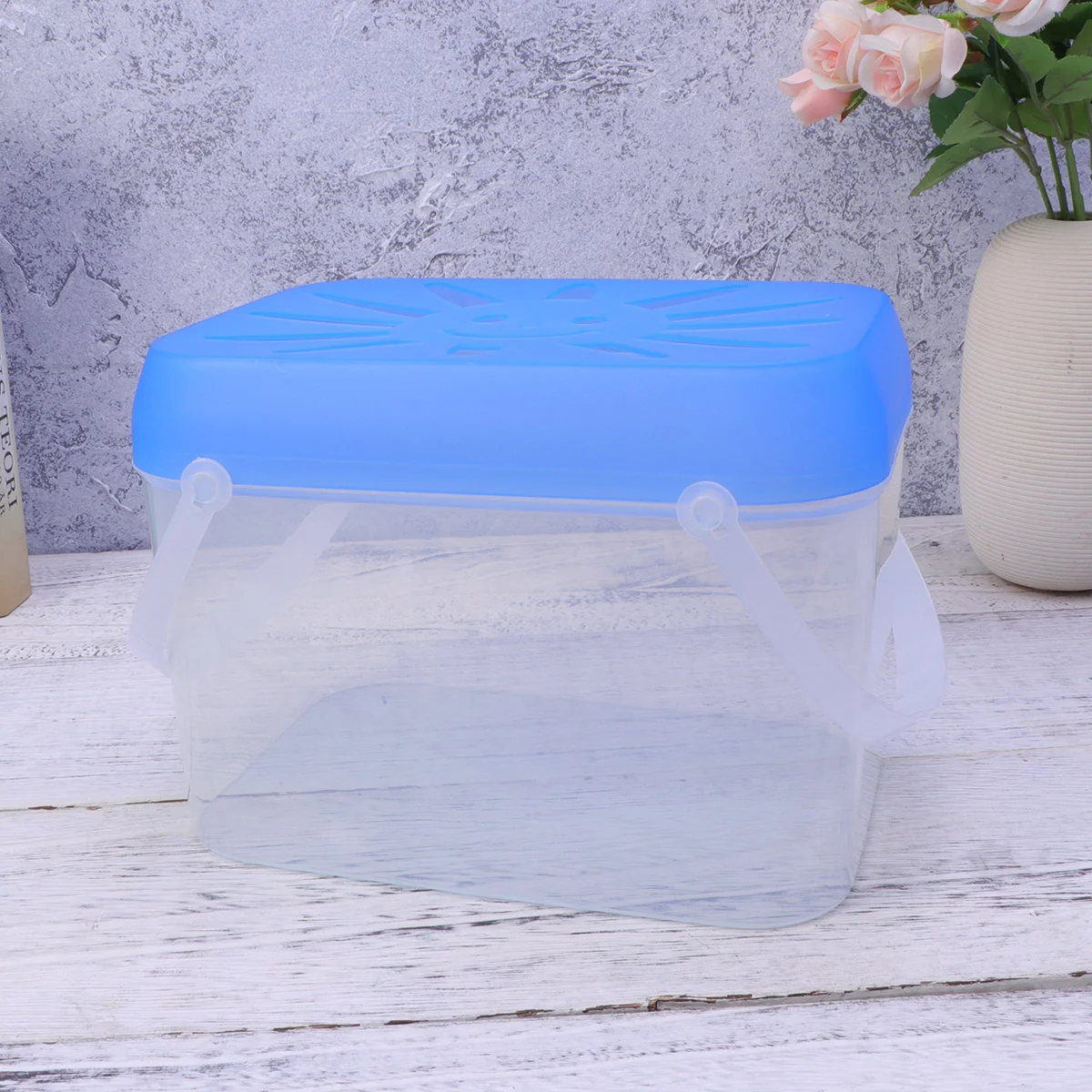 Large Portable Transparent PP Plastic Fish Tank Small Pet Nest for Home Decoration Random Color | Дом и сад