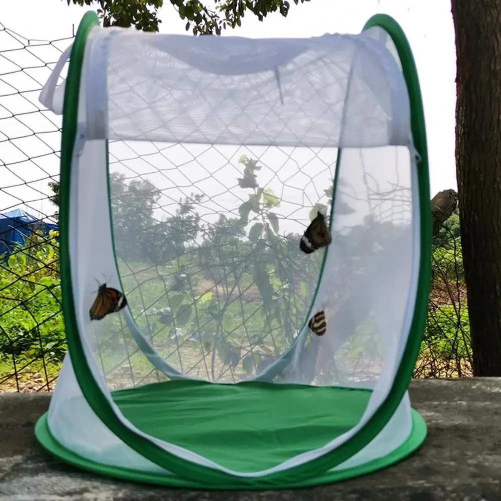 

Insect Cage Foldable Easy to Carry Green Insect Mesh Cage Terrarium for Garden Insect Cage