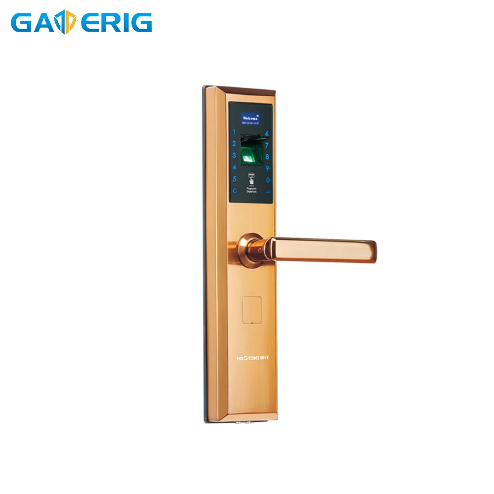 

GATERIG интеллектуальный замок с распознаванием отпечатков пальцев, разблокировка паролем, розовое золото, серебристый цвет, для отеля, открыт...