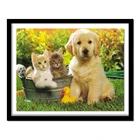 5D DIY Алмазная картина вышитые собаки и кошки полный Алмазный диск вышивки крестом домашнее украшение с бриллиантами YZ343