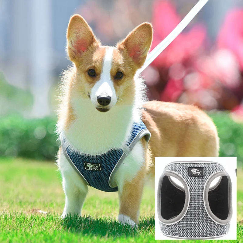 

Четырехсезонный Новый щенок, Тяговая веревка, маленькие и средние ошейники для собак, дышащая и удобная прогулочная веревка для кошек, кошк...