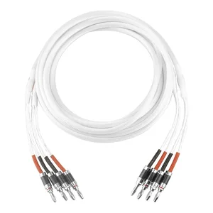 todn one pair hifi silver plated speaker cable hi end 5n occ speaker wire for hi fi systems y plug banana plug speaker cable free global shipping