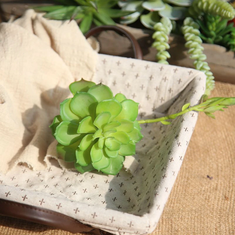 Искусственные растения DIY яркие суккулентные мясистые растения Цветок голова креативная Мода DIY Аксессуары моделирование Искусственные цветы завод