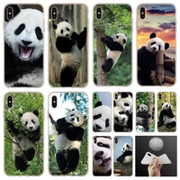 cute asian baby panda bear china soft soft silicone case for iphone 13 12 11 pro 7 8 6 6s plus xr xs max cover mini se 2020