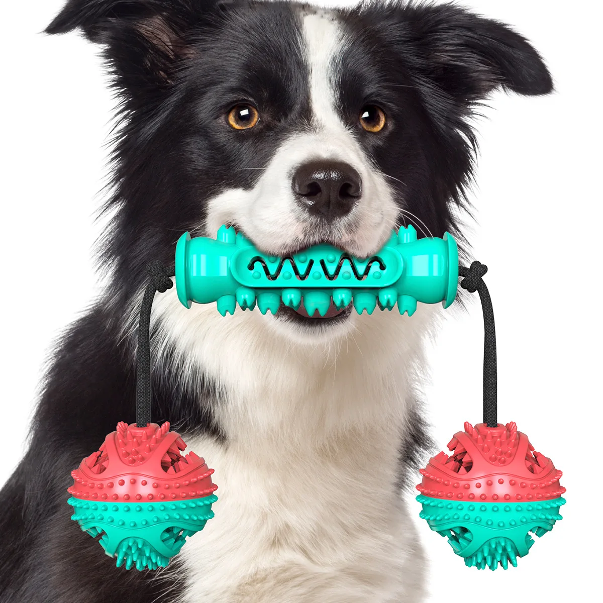 

Dog Chew Toothbrush Teeth Cleaning Toys Pet Interactive Rope Toy Dental Oral Care for Pet