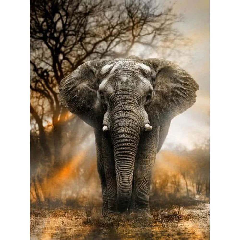 Полный Круглый дрель 5D DIY Алмазный Картина Слон Алмазные вышивки крестом