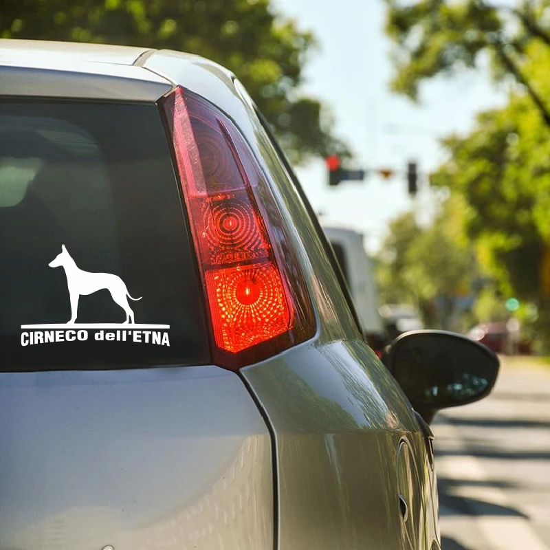 Будет наклейка для знаменитости индивидуальная автомобиля 15 см|Наклейки на