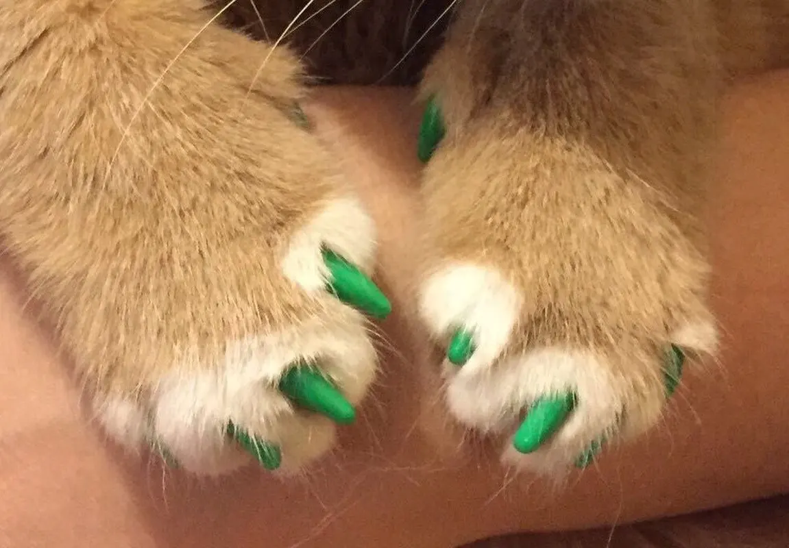 Колпачки для кошачьих ногтей мягкие силиконовые защитные колпачки с бесплатным