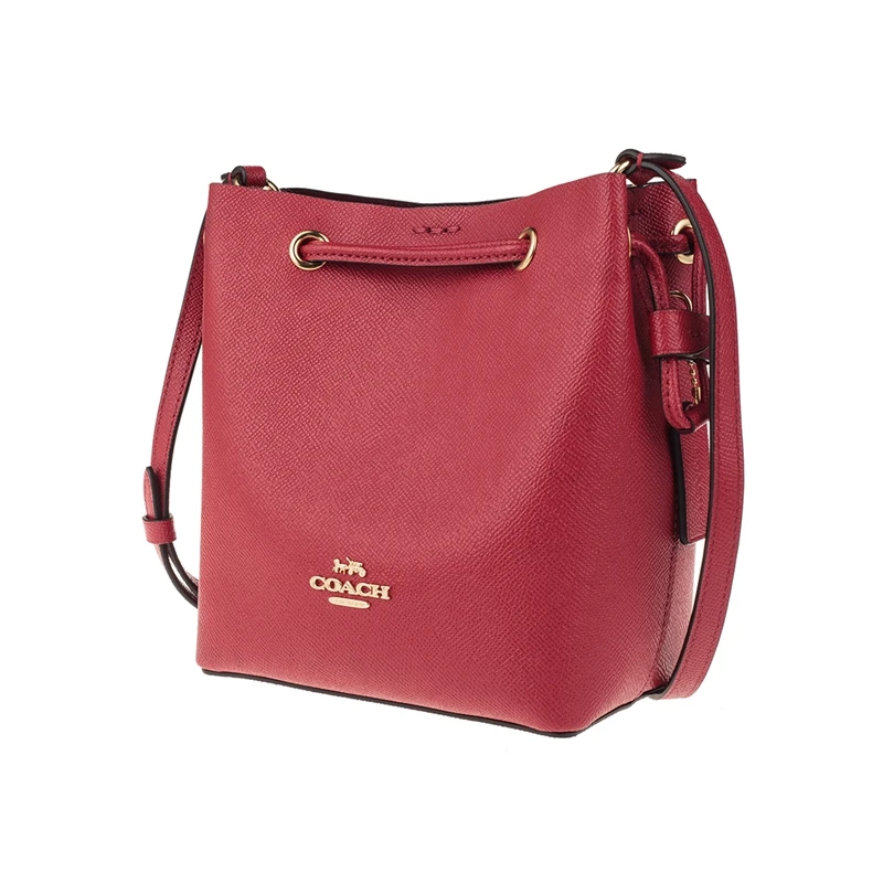 Подлинный оригинальный и абсолютно новый Coach F83718 Lena Кроссбоди кожа сумка | Багаж